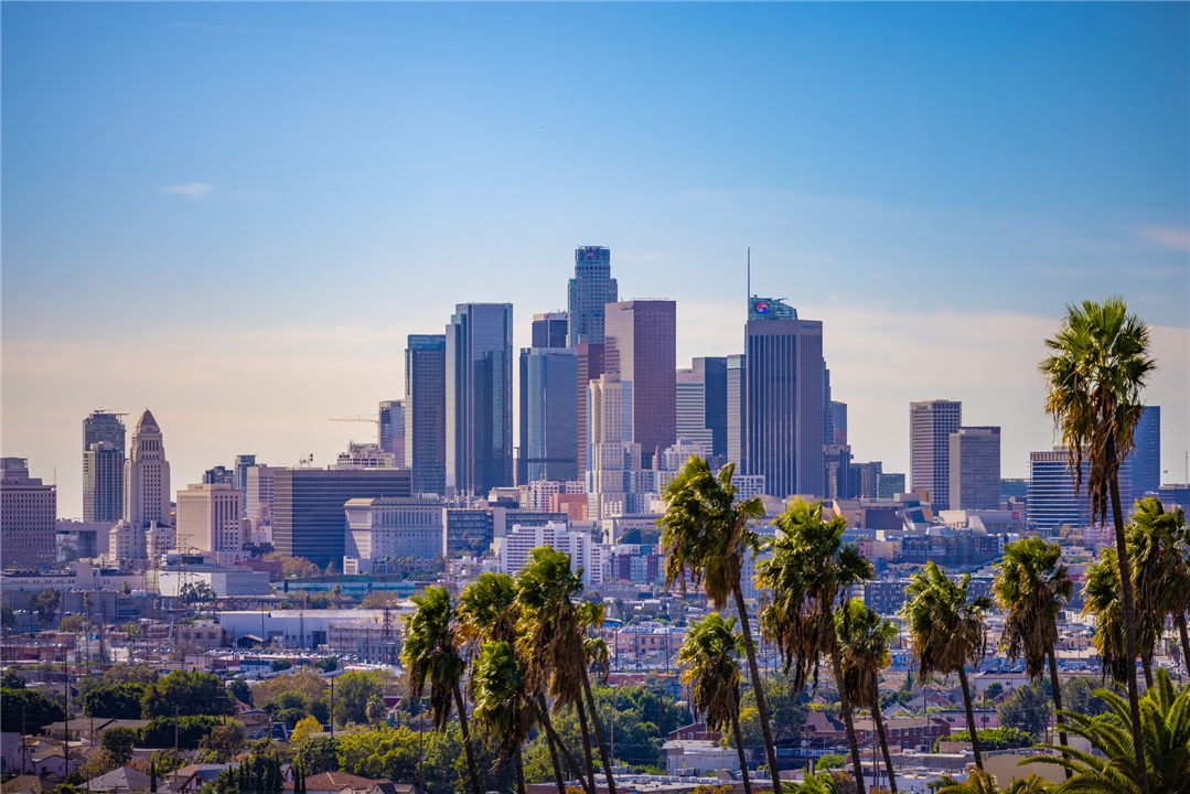 TOP 10 SỰ THẬT THÚ VỊ BẠN CHƯA BIẾT VỀ THÀNH PHỐ LOS ANGELES