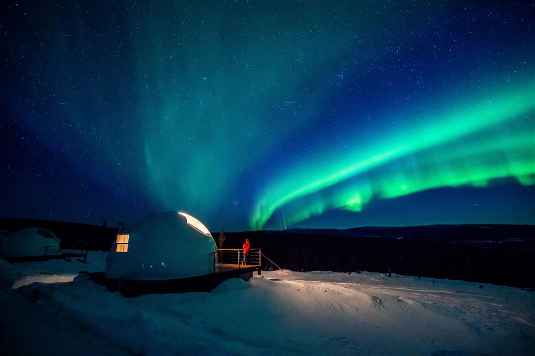 MỘT NGÀY Ở TIỂU BANG ALASKA: ĐI ĐÂU? CHƠI GÌ?