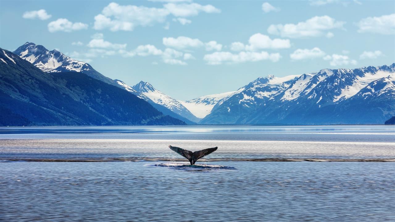 MỘT NGÀY Ở TIỂU BANG ALASKA: ĐI ĐÂU? CHƠI GÌ?