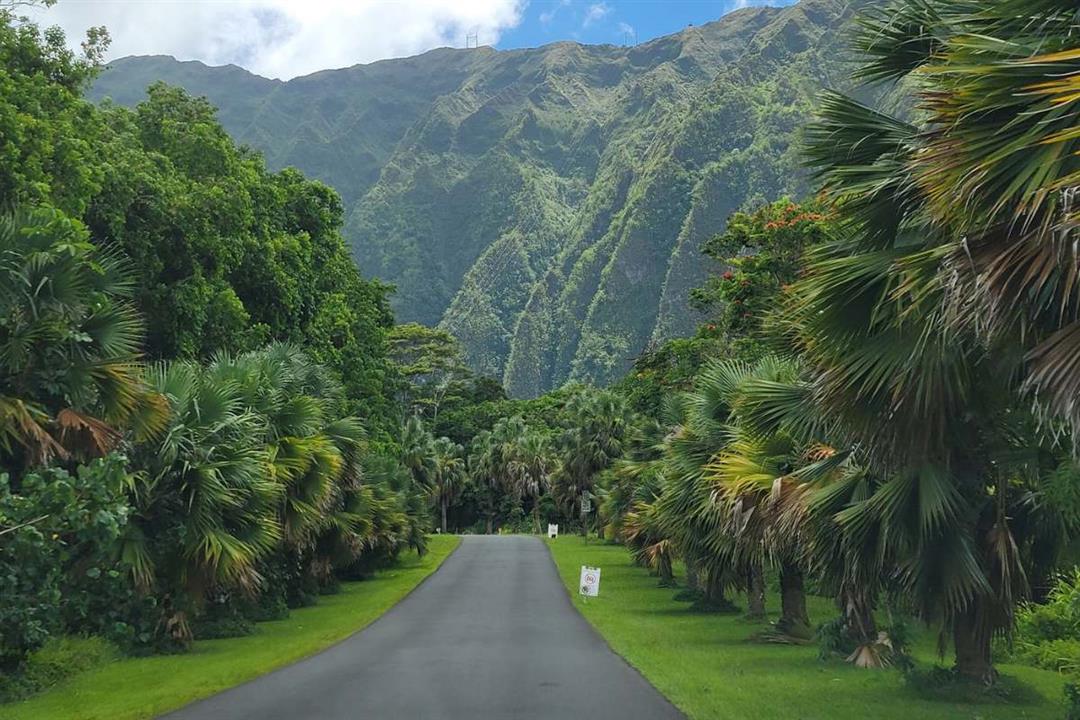 MỘT NGÀY Ở TIỂU BANG HAWAII: ĐI ĐÂU? CHƠI GÌ?