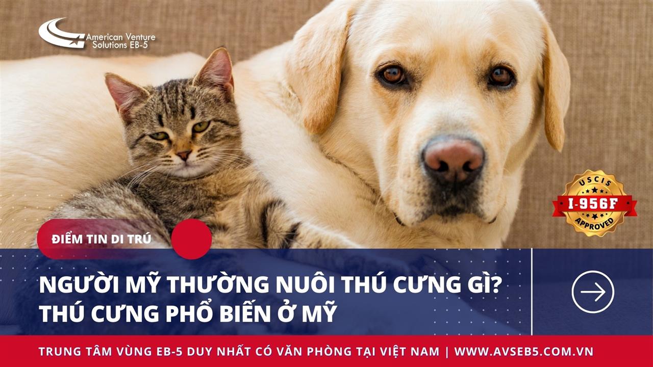 NGƯỜI MỸ THƯỜNG NUÔI THÚ CƯNG GÌ? THÚ CƯNG PHỔ BIẾN Ở MỸ