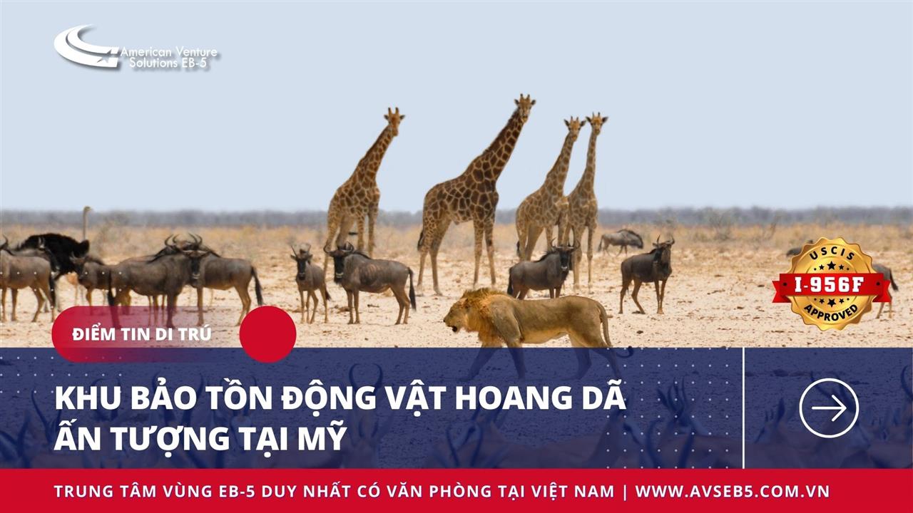 KHU BẢO TỒN ĐỘNG VẬT HOANG DÃ ẤN TƯỢNG NHẤT TẠI MỸ